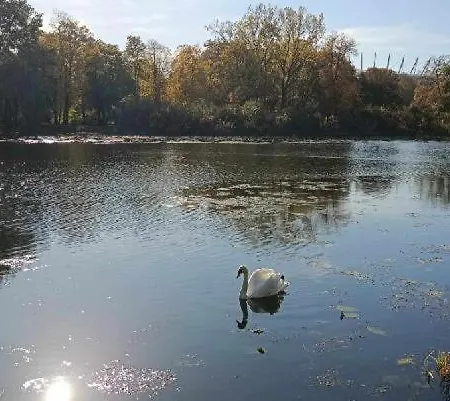 Przy Rondzie Wiatraczna *